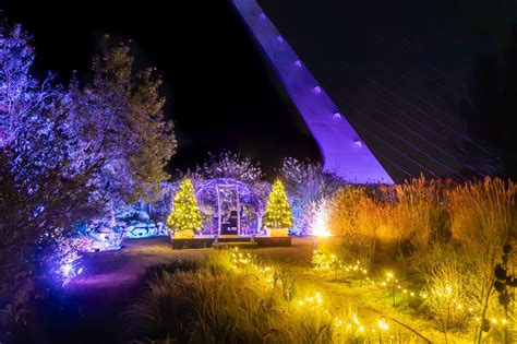 redding garden of lights|Redding Garden of Lights at Turtle Bay.